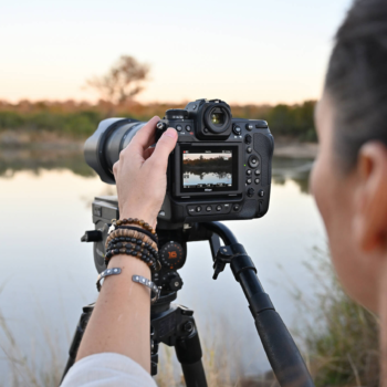 Nikon lança firmware V 4.0 para Z9